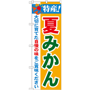 のぼり旗 3枚セット 特産 夏みかん No.21479