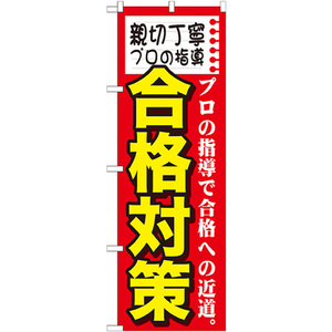 のぼり旗 3枚セット 親切丁寧 プロの指導 合格 GNB-1585