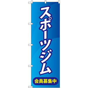 のぼり旗 3枚セット スポーツジム会員募集中 青 GNB-4690