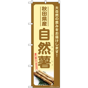 のぼり旗 3枚セット 自然薯 秋田県産 SNB-7289