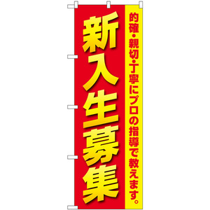 のぼり旗 3枚セット 新入生募集 プロの指導 GNB-4285