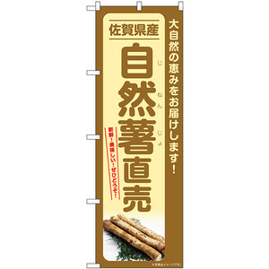 のぼり旗 3枚セット 自然薯直売 佐賀県産 SNB-7292