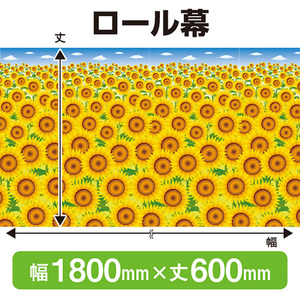 ロール幕 夏 (W1800×H600mm) No.69924