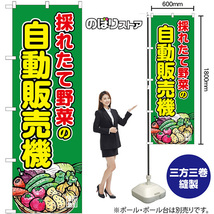 のぼり旗 3枚セット 採れたて野菜の自動販売機 SNB-8947_画像2