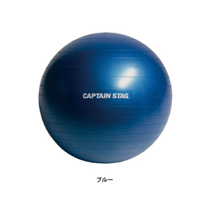 フィットネスボール φ65 ブルー M5-MGKPJ01308BL