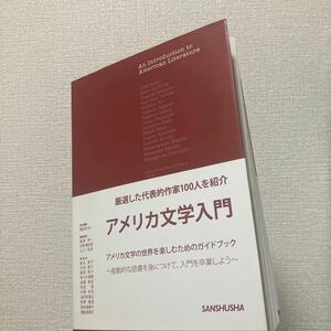 アメリカ文学入門 諏訪部浩一／責任編集　稲垣伸一／〔ほか〕編集委員　新井景子／〔ほか〕執筆