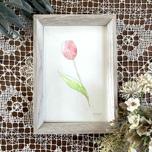 Art hand Auction nyago watercolor painting tulip flower spring picture painting illustration Hand-Drawn artwork illustration botanical painting botanical art art interior painter genuine work original painting hand-drawn, painting, watercolor, Nature, Landscape painting