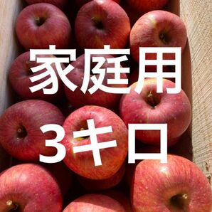 青森県産りんご葉取らずさんフジ家庭用3キロ