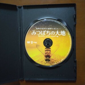 みつばちの大地 DVD レンタル版の画像4