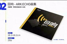 アークナイツ ARK:ECHO《回》EP集 CD 中国公式グッズ 正規品 明日方舟 イラスト集 アクリルストラップ　クリアカード 金属バッジ_画像3