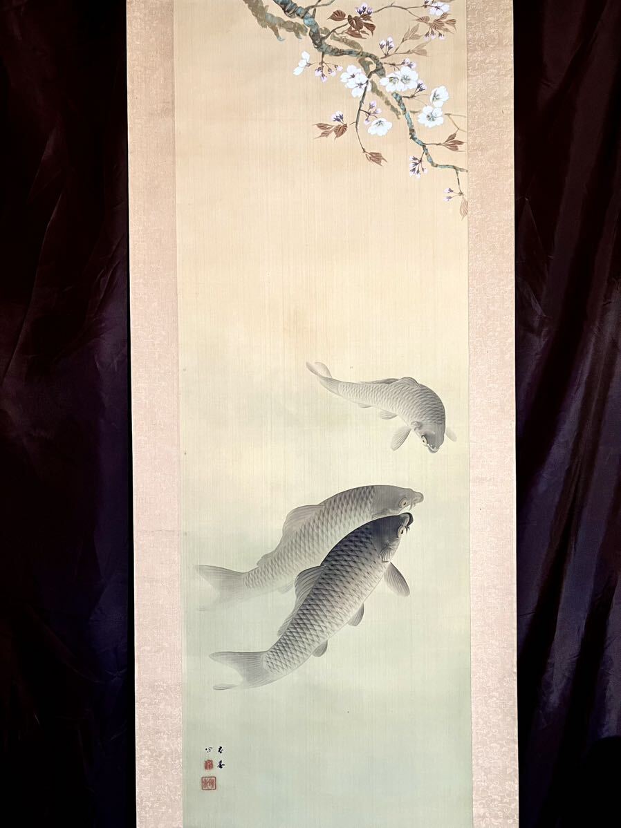 [Copie] [S8] Oshun Maruyama ``Carpe sous les fleurs de cerisier'' d'Oshun Volume de soie Sommier Vue Fleurs et oiseaux Oiseaux et bêtes Poisson Fleurs de cerisier Peinture Sakura Rouleau suspendu Fin de la période Edo Petit-fils du peintre Okyo Peuple de Kyoto, peinture, Peinture japonaise, fleurs et oiseaux, oiseaux et bêtes