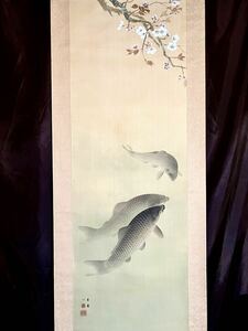 Art hand Auction [Copy] [S8] Oshun Maruyama Oshun's ``Carp Under Cherry Blossoms'' Silk Volume Box Spring View Flowers and Birds Birds and Beasts Fish Cherry Blossoms Sakura Painting Hanging Scroll Late Edo Period Painter Okyo's Grandson People of Kyoto, painting, Japanese painting, flowers and birds, birds and beasts