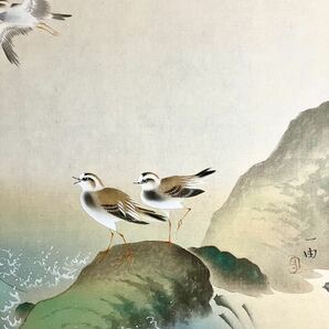 [模写] [S8] 一由「千鳥」絹本 共箱 大幅 春景 花鳥図 鳥獣 チドリ 風景画 水辺 日本画 絵画 掛軸 美品の画像4