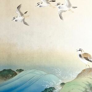 [模写] [S8] 一由「千鳥」絹本 共箱 大幅 春景 花鳥図 鳥獣 チドリ 風景画 水辺 日本画 絵画 掛軸 美品の画像3
