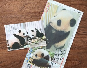 『新聞記事&カレンダー』　シャオシャオ&レイレイ　上野動物園　パンダ 暁暁蕾蕾 シャンシャン