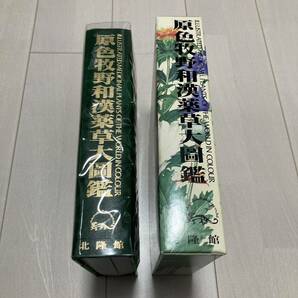 J 平成10年発行 「原色牧野和漢薬草大圖鑑」の画像1