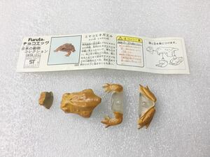 ★即決★チョコエッグ★日本の動物★第３弾★ミヤコヒキガエル★未組立品★ミニブック付き★海洋堂★松村しのぶ★