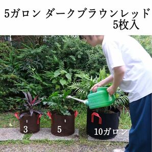 【新品未使用品】YNAK 不織布プランター 5ガロン5枚セット 家庭菜園 植木 鉢 園芸 花 野菜 栽培 ポット エコプランター