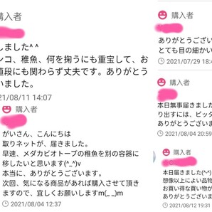 密網 ごみ取りネット 2本 魚掬う ミジンコ メダカ 金魚 熱帯魚 淡水魚 玉網 タモ 浮草ネット 針子 稚魚 ビオトープ アクアリウムの画像7