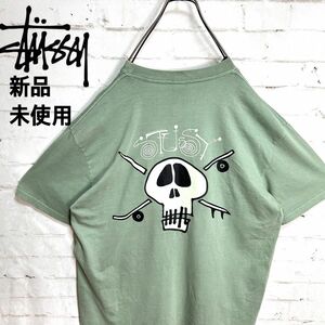 新品未使用タグ付き!!海外限定!! 希少 STUSSY ドクロ スカル バックプリントパステルグリーン Tシャツ Lサイズ