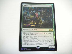 F419【MTG】飢餓ハイドラ Foil