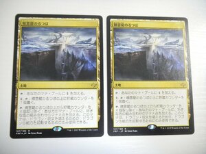 F421【MTG】精霊龍のるつぼ 2枚セット