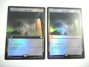 F466【MTG】ダークウォーターの地下墓地 拡張アート Foil 通常Foil 2枚セット Fallout