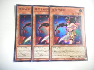 AH5【遊戯王】薔薇占術師 3枚セット スーパーレア 即決