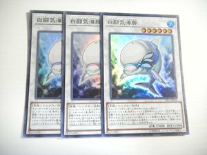 AN5【遊戯王】白闘気海豚 3枚セット スーパーレア 即決