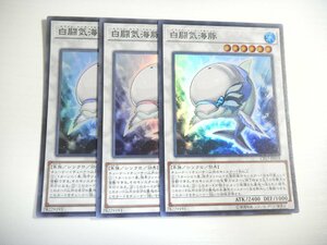 AN4【遊戯王】白闘気海豚 3枚セット スーパーレア 即決