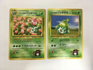 D270【ポケモン カード】旧裏面 エリカのフシギソウ エリカのフシギダネ 2枚 進化セット 即決