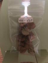 ムスクマロー　種　ピンク　宿根草　可愛い　花殻約10個　北海道より_画像7