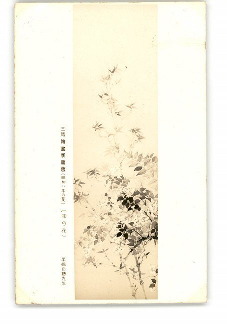 XyW7261●平福百穗先生的三越绘画展 1930 年夏季 Unohana *损坏 [明信片], 古董, 收藏, 杂货, 图片明信片