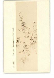 Art hand Auction XZB9287●Ausstellung neuer Gemälde östlicher und westlicher Meister, gesponsert von Usuhiso Granatapfel von Ryuko Kawabata *Beschädigt [Postkarte], Antiquität, Sammlung, verschiedene Waren, Ansichtskarte