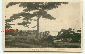 F8103●山形 酒田 公園より港口【絵葉書】