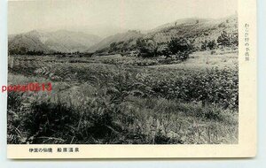 Xq5273●静岡 船原温泉 わらび狩の平高原【絵葉書】