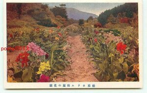 K3187●静岡 船原ホテル 付属花園【絵葉書】