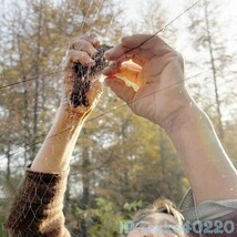 iy2643: 鳥よけ ネット 動物 網 アウトドア 防鳥 畑 野菜 果物 庭 ガード 保護 カラス ハト スズメ 害虫駆除 鳥 トリ 3ｍ×15ｍ～6m 鳩 雀_画像4