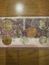 桜の通り抜け貨幣セット 今年の花 一葉 ミントセット 2015年 平成27年 額面666円 記念硬貨 銀メダル 2_画像6