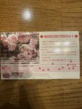 桜の通り抜け貨幣セット 今年の花 大手毬 ミントセット 2006年 平成18年 額面666円 記念硬貨 銀メダル 造幣局 2_画像2