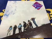 Lynyrd Skynyrd★中古LP国内盤「レーナード・スキナード～ロック魂」_画像1