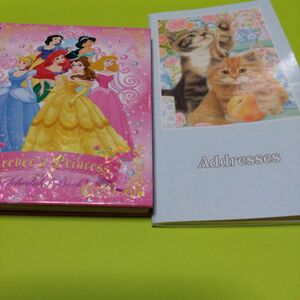 ★アドレス帳(=^・^=)★Disneyプリンセス2004年スケジュールBook