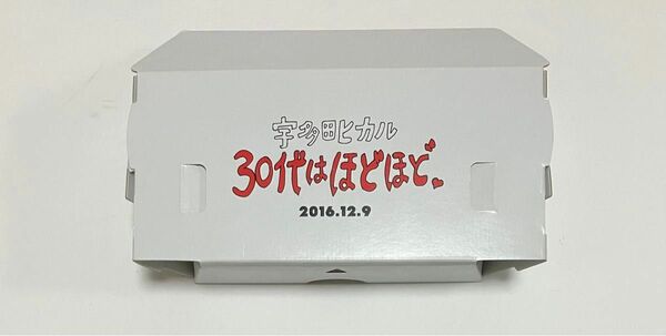 【限定グッズ】宇多田ヒカル 30代はほどほど。2016.12.9 VRゴーグル