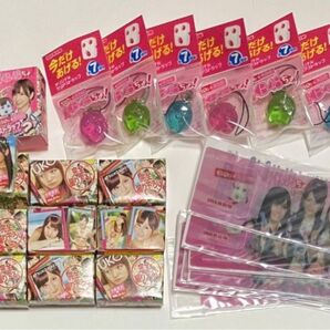 【新品未使用】ぷっちょ × AKB48 オリジナルストラップ 篠田麻里子 7個+ミニ写真集 9個+チェンジングブックマーク 10枚