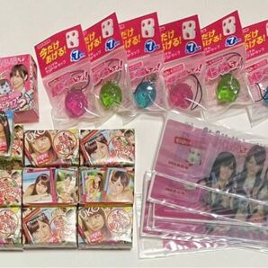 【新品未使用】ぷっちょ × AKB48 オリジナルストラップ 篠田麻里子 7個＋ミニ写真集 9個＋チェンジングブックマーク 10枚