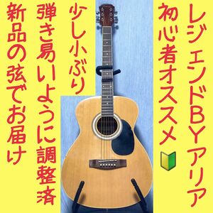 LEGEND☆レジェンド！FG-15 N【初心者向け☆弾き易い☆新品弦】