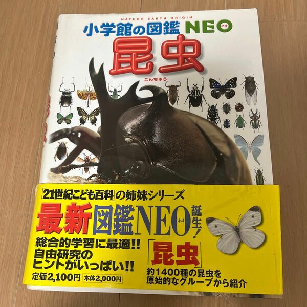 小学館の図鑑NEO 昆虫