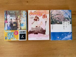 映画化　文庫本セット　「honey」 「桜のような僕の恋人」「余命一年と宣告された僕が、余命半年の君と出会った話」