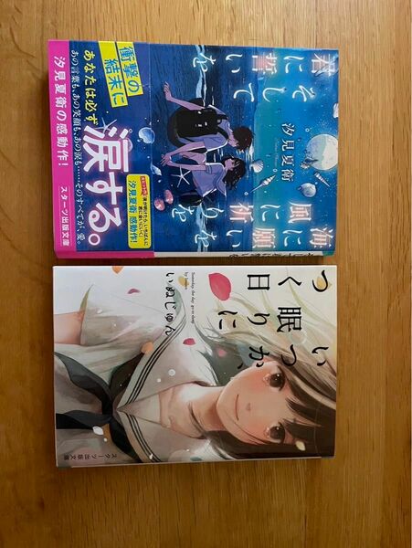 「いつか眠りにつく日」いぬじゅん・「海に願いを風に祈りをそして君に誓いを」汐見夏衛