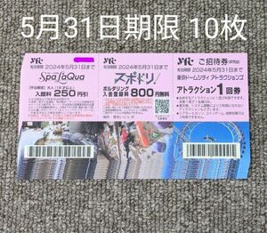 東京ドームシティ アトラクション チケット 10枚